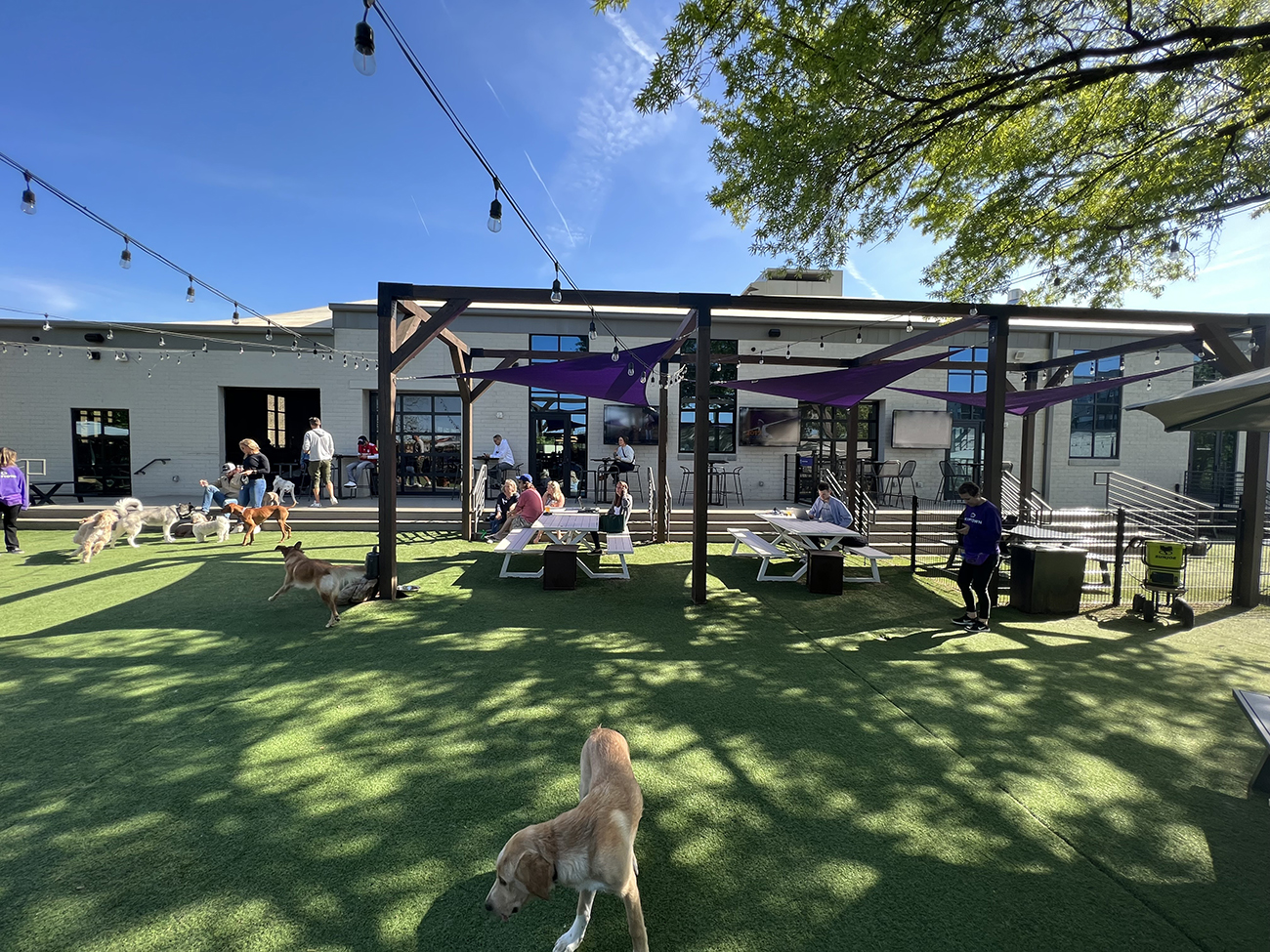 Weekender: 21 fun things to do in Charlotte this weekend including a skating pop-up and drag brunches